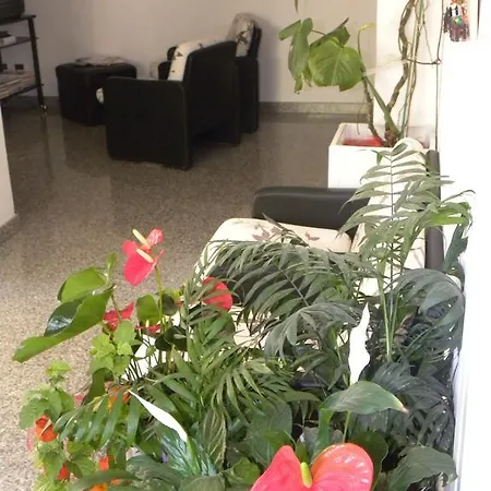 Pensione Andrea קיאנצ'נו טרמה
