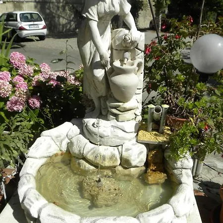Pensione Andrea Hotel *